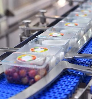 barquettes agroalimentaire